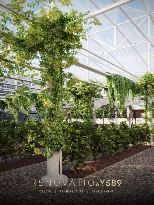 Projects - Cafes And Restaurants - Vineyard 500 Sq.m. - A photo  2